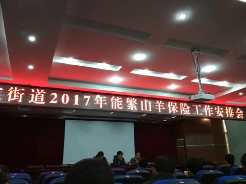 图片7