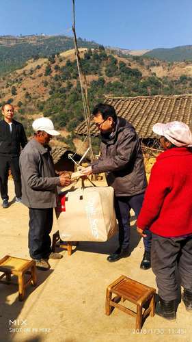 QQ图片20180131173753