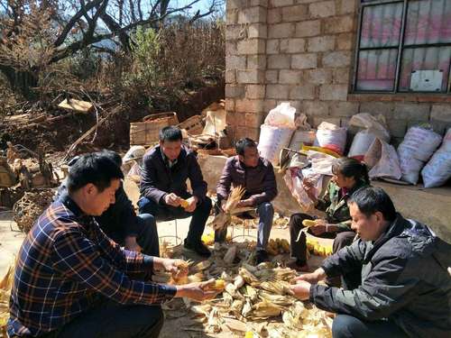 QQ图片20180131173748