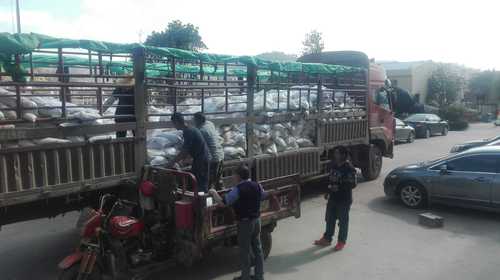 IMG_20180118_135604_comps