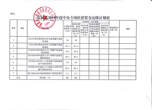 中央资金安排表
