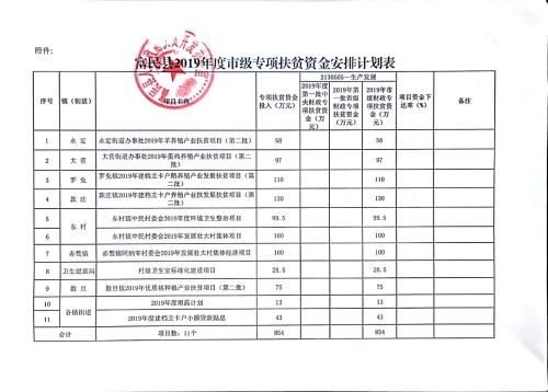 市级资金安排表