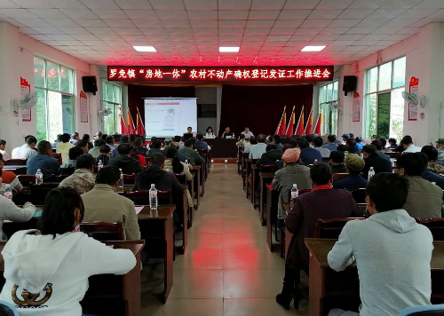 QQ图片3