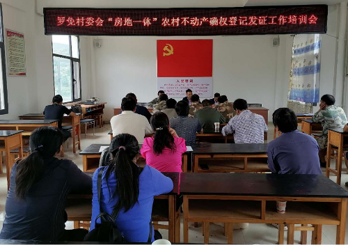 QQ图片5