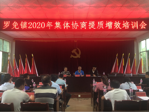 QQ图片1