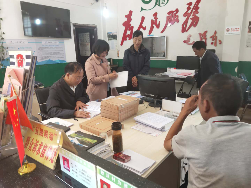 图片7
