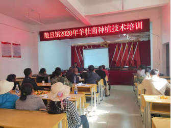 图片4 图片4
