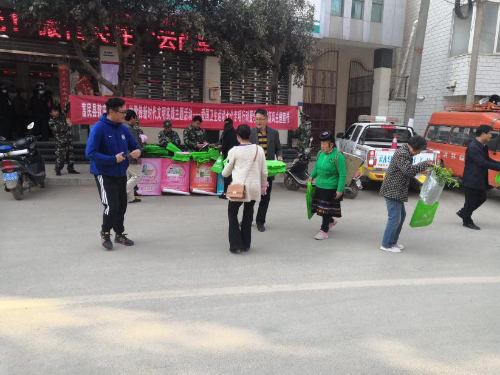 图片4