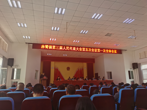图片4
