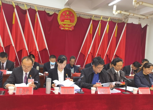 第一次全体会议主席台2