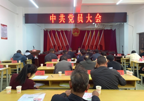 中共党员大会1