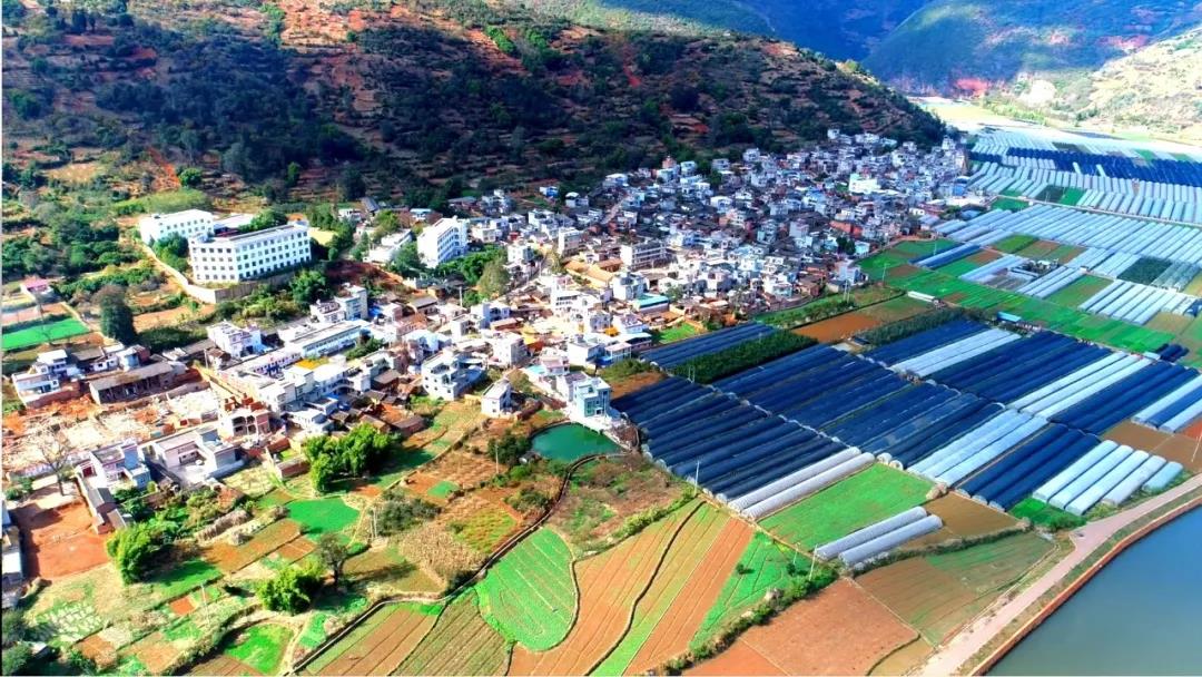 富民县赤鹫镇"四个击破"让土地连片化流转"转"出乡村振兴新活力