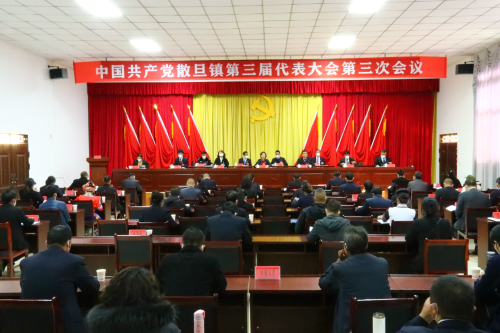 图片3
