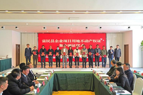 图片1