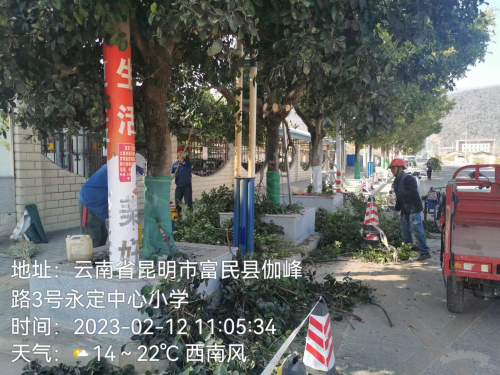 图片2