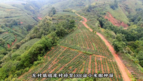 微信图片_20230317093104