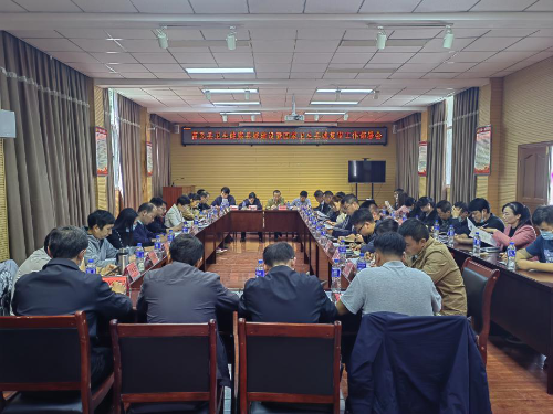 富民县召开推进健康县城建设暨国家卫生县城复审工作动员会1