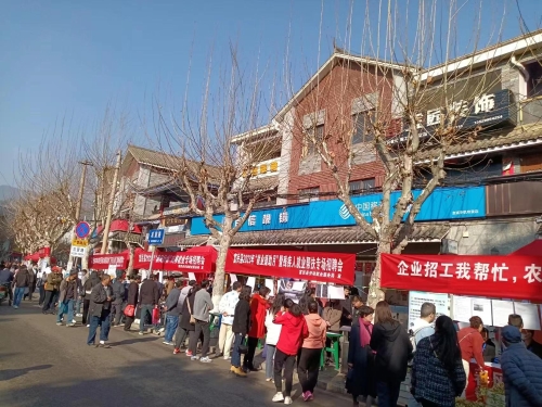 照片3