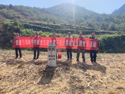 图片1
