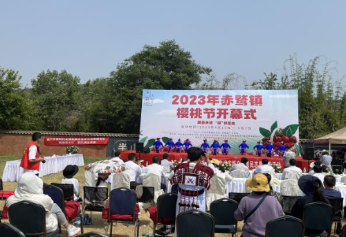 图片6