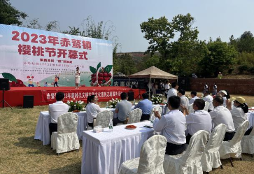 图片7