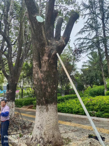 图片2