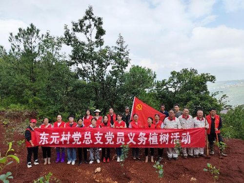 图片 1