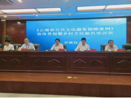 图片13