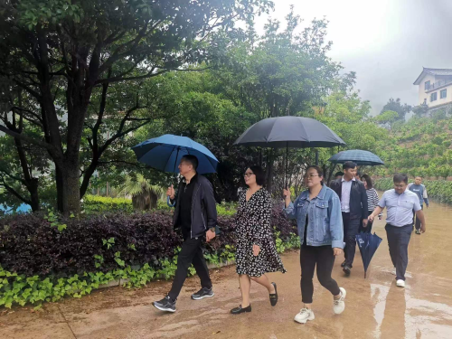 图片50