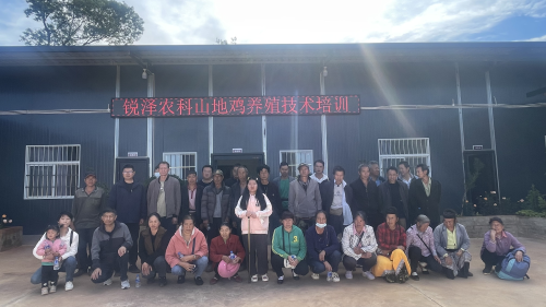 2023年山地鸡养殖培训1