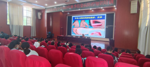图片17 图片17