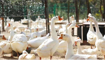 微信图片_20240208101006