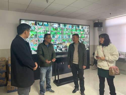 检查企业复工复产2