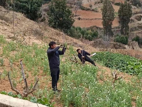 bcaee1e81affde0a3f432c0ab852479_副本