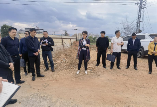 县委主要领导带队实地调研国家卫生县暨健康县城建设工作2