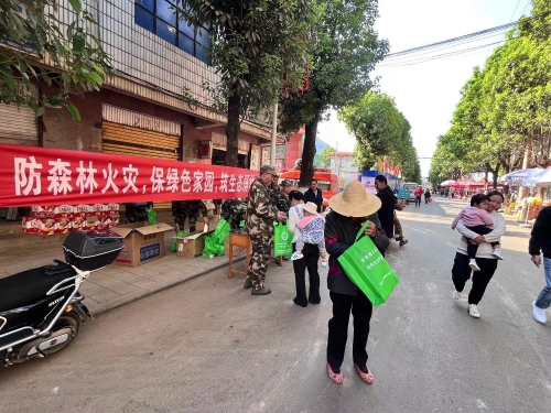 东村镇在清明期间组织开展全民防火保平安宣传活动 (2)