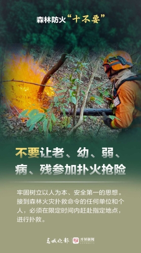 微信图片_20240419164444