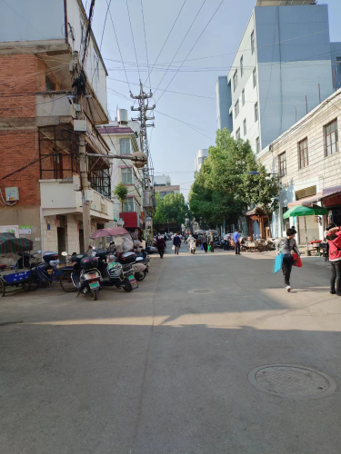 图片1
