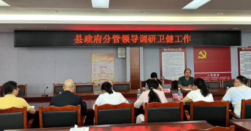县政府分管领导调研卫生健康工作2