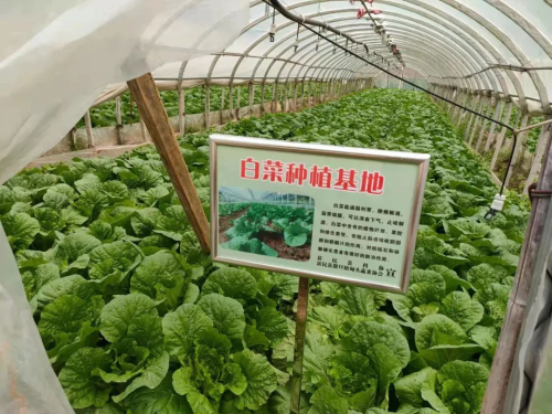 图片 3