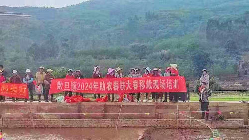 图片 1