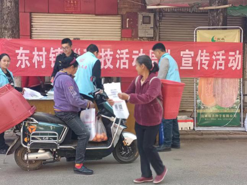 图片3