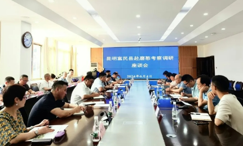 微信截图_20240613100931