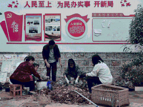 图片4_new