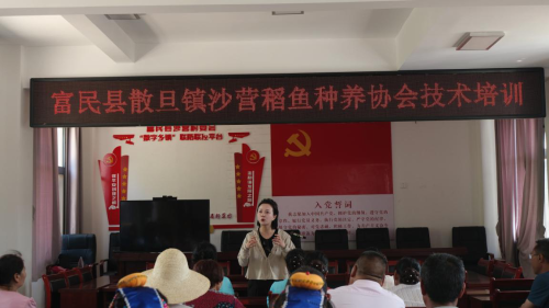 图片2