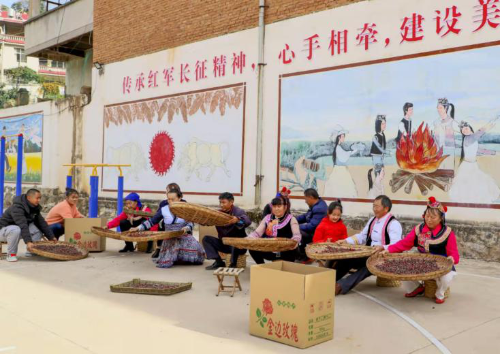 金边玫瑰