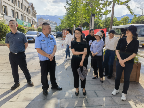 县委书记周燕带队实地调研国家卫生县复审暨健康县城建设工作2