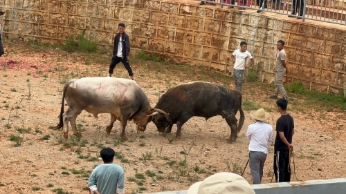 微信图片_20240805173031