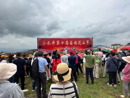微信图片_20240805173033