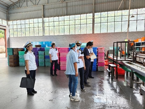 富民县卫生健康综合监督执法局开展消毒餐具饮具卫生检查工作